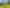 Auckland - Address withheld