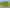 Auckland - Address withheld