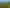 Auckland - Address withheld