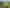 Auckland - Address withheld