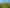 Auckland - Address withheld