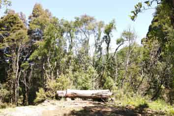 Lot 1 Lookout Road, Geraldine