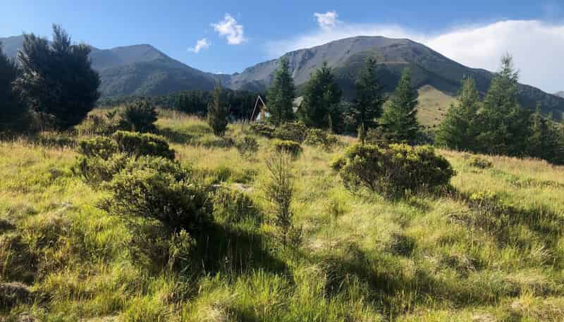 49 Terako Terrace, Lyford