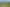 59C Totara Valley Road, Thames