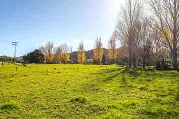 315 and 31 Woollams Avenue, Coromandel
