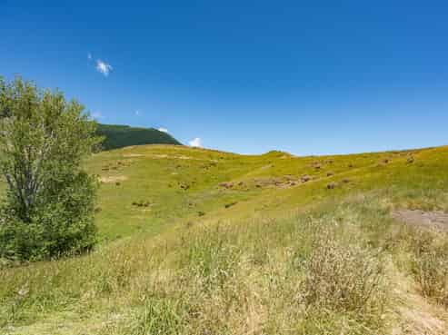  Woolshed Drive – Stage 7, Stoke