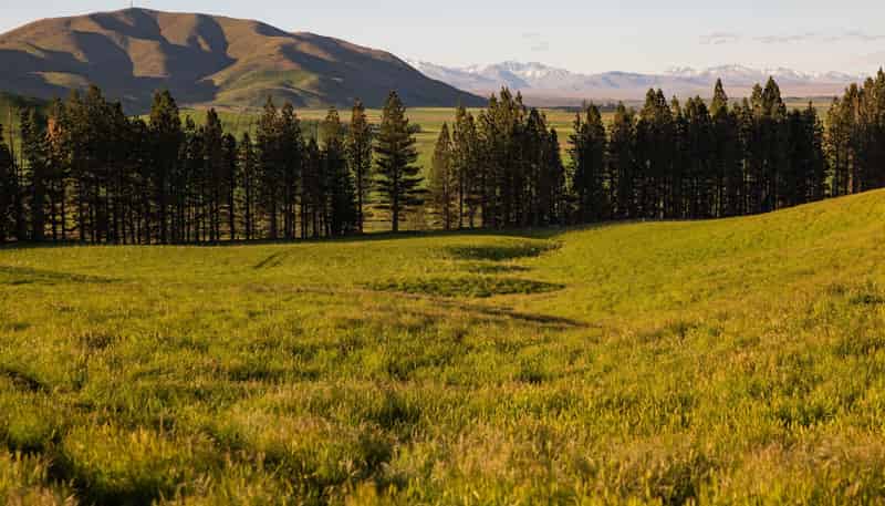  Simon's View, Tekapo Twizel Highway, Lake Tekapo