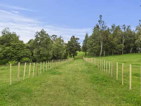201 Checkley Road, Raglan