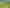 Pacific Islands - Address withheld