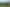 Pacific Islands - Address withheld