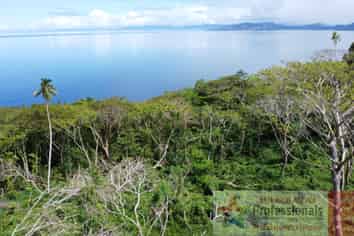 Pacific Islands - Address withheld