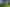 Pacific Islands - Address withheld