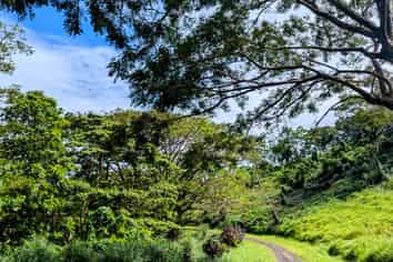 Pacific Islands - Address withheld
