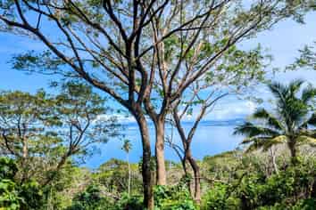 Pacific Islands - Address withheld