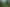 Pacific Islands - Address withheld