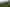 Pacific Islands - Address withheld