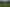 Pacific Islands - Address withheld