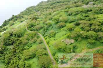 Pacific Islands - Address withheld