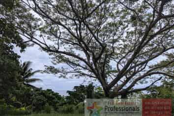 Pacific Islands - Address withheld