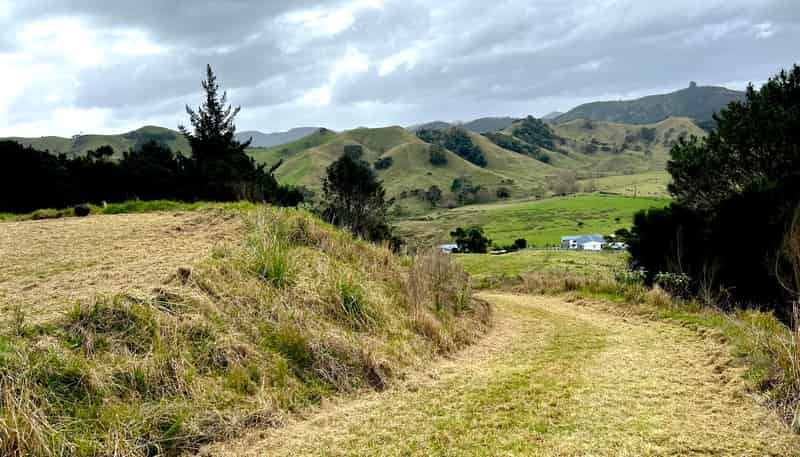 Lot 6 328 Wainui Road, WHANGAROA