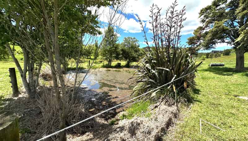  Puketona Road, Paihia
