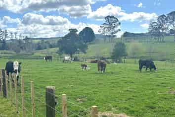 Puketona Road, Paihia