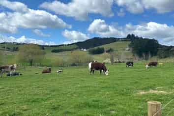 Puketona Road, Paihia