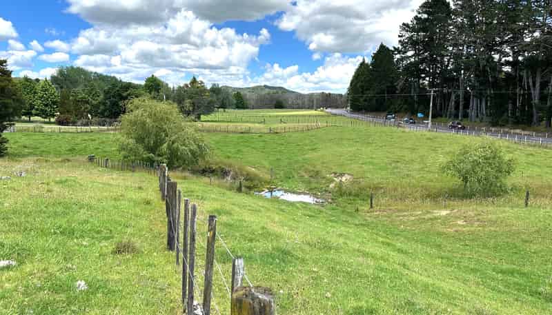  Puketona Road, Paihia