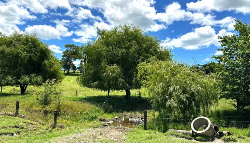  Puketona Road, Paihia