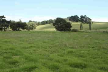 Lot 1 Pekerau Road, Lake Ohia