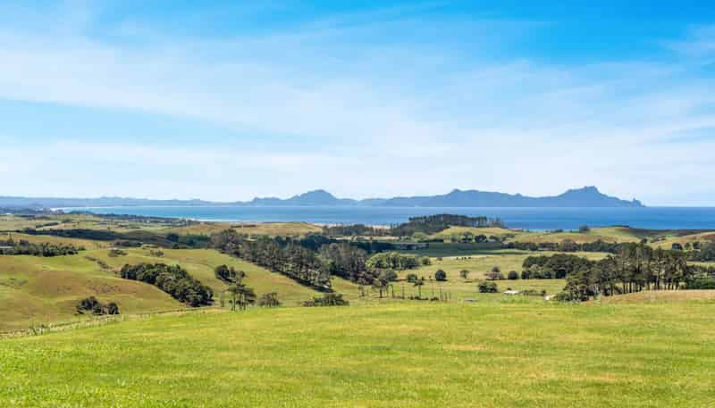 115 Millennium Way, Waipu