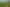 Pacific Islands - Address withheld