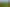 Pacific Islands - Address withheld