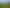Pacific Islands - Address withheld