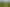 Pacific Islands - Address withheld