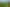 Pacific Islands - Address withheld
