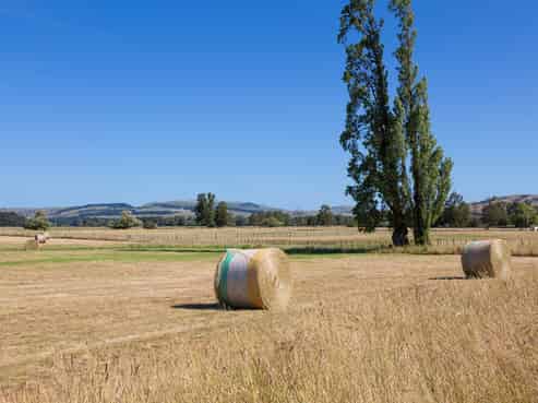 Lots 5 and Riversdale Road, Carterton