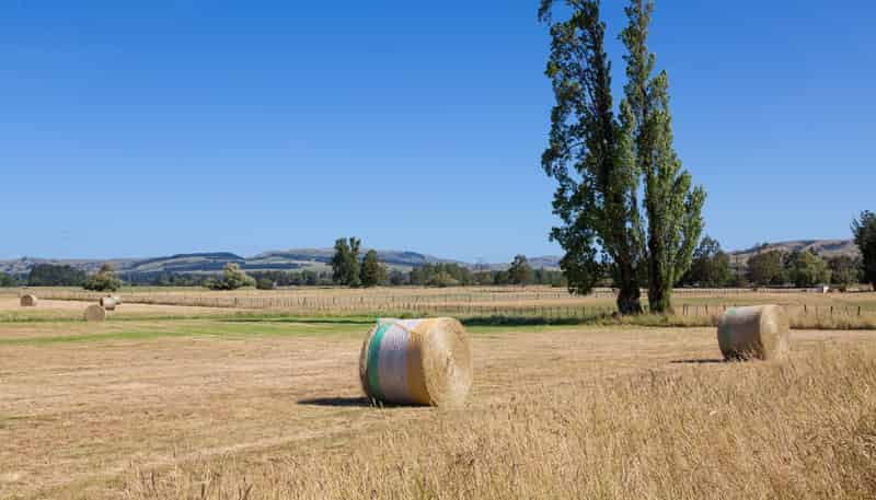 Lots 5 and Riversdale Road, Carterton