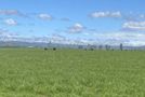 224 Auripo Road, Omakau, Central Otago, Central Otago / Lakes District