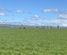 224 Auripo Road, Omakau, Central Otago, Central Otago / Lakes District