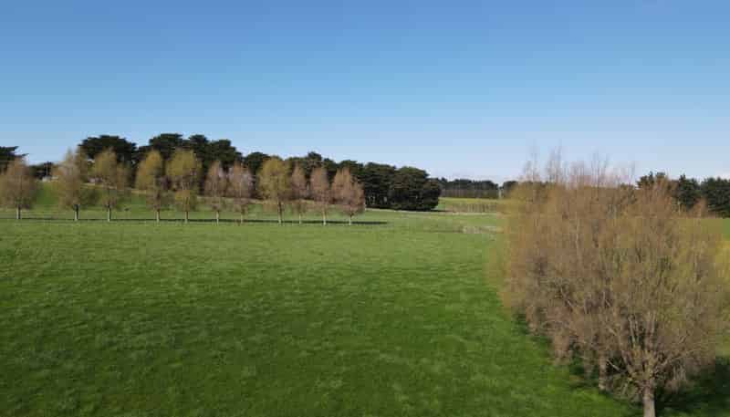 592 Pinfold Road, Woodville