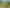 10 Kereru Close, Halfway Bush