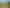10 Kereru Close, Halfway Bush