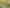 10 Kereru Close, Halfway Bush