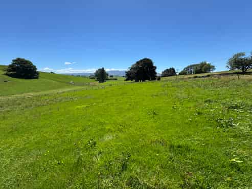 (Lot 1) 12 Pokuru Road, Te Awamutu