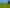(Lot 1) 12 Pokuru Road, Te Awamutu