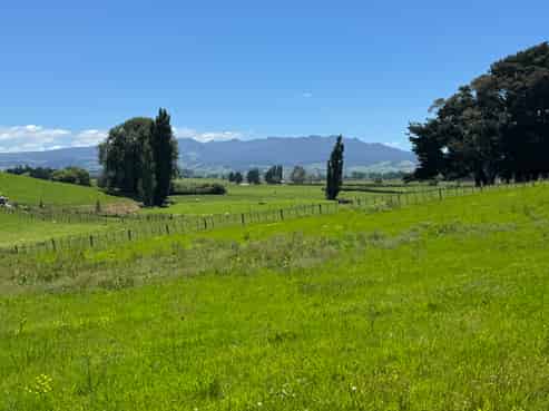 (Lot 1) 12 Pokuru Road, Te Awamutu