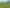 (Lot 1) 12 Pokuru Road, Te Awamutu