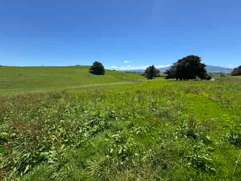 (Lot 1) 12 Pokuru Road, Te Awamutu