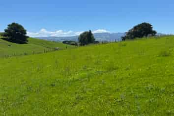 (Lot 2) 12 Pokuru Road, Te Awamutu